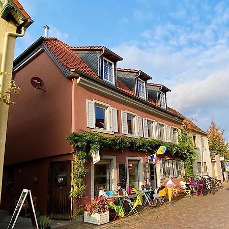 Grune Pause Freinsheim Exteriér fotografie